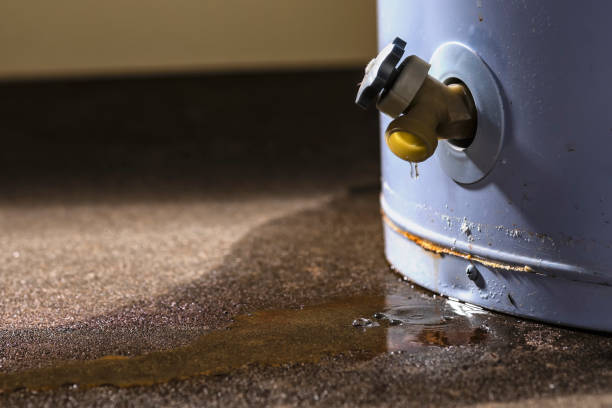 Best Water damage restoration mold remediation  in Mulvane, KS