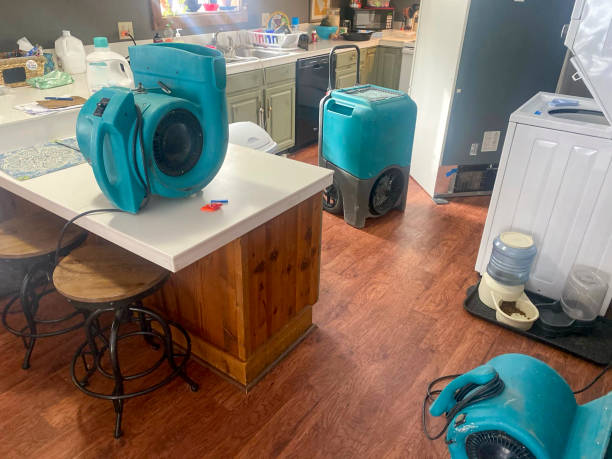 Carpet water damage restoration in Mulvane, KS