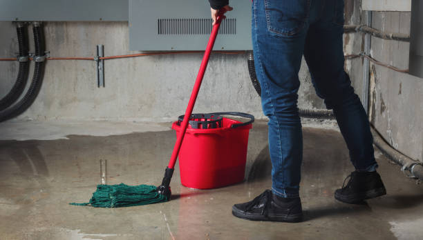 Water damage restoration experts in Mulvane, KS