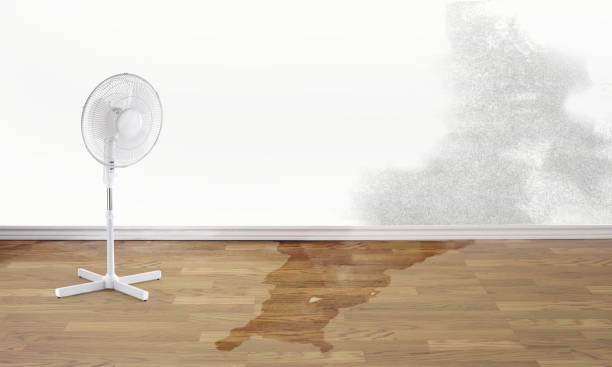 Best Water damage restoration insurance claims  in Mulvane, KS