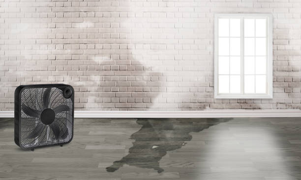 Best Emergency water damage restoration  in Mulvane, KS