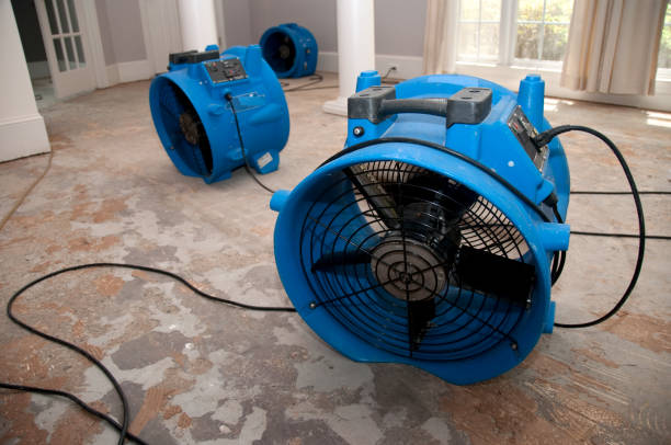 Best Professional water damage repair  in Mulvane, KS