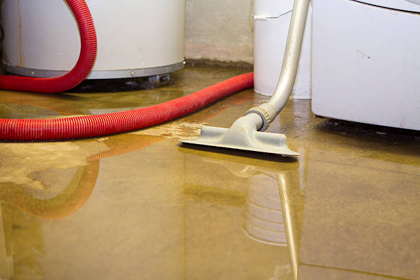 Best Water damage restoration near me  in Mulvane, KS