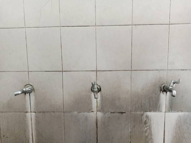 Best Sewage cleanup and water damage restoration  in Mulvane, KS