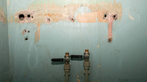 Best Carpet water damage restoration  in Mulvane, KS