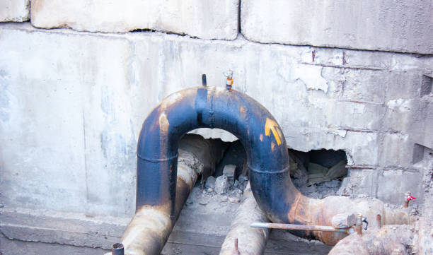 Best Flood damage cleanup  in Mulvane, KS